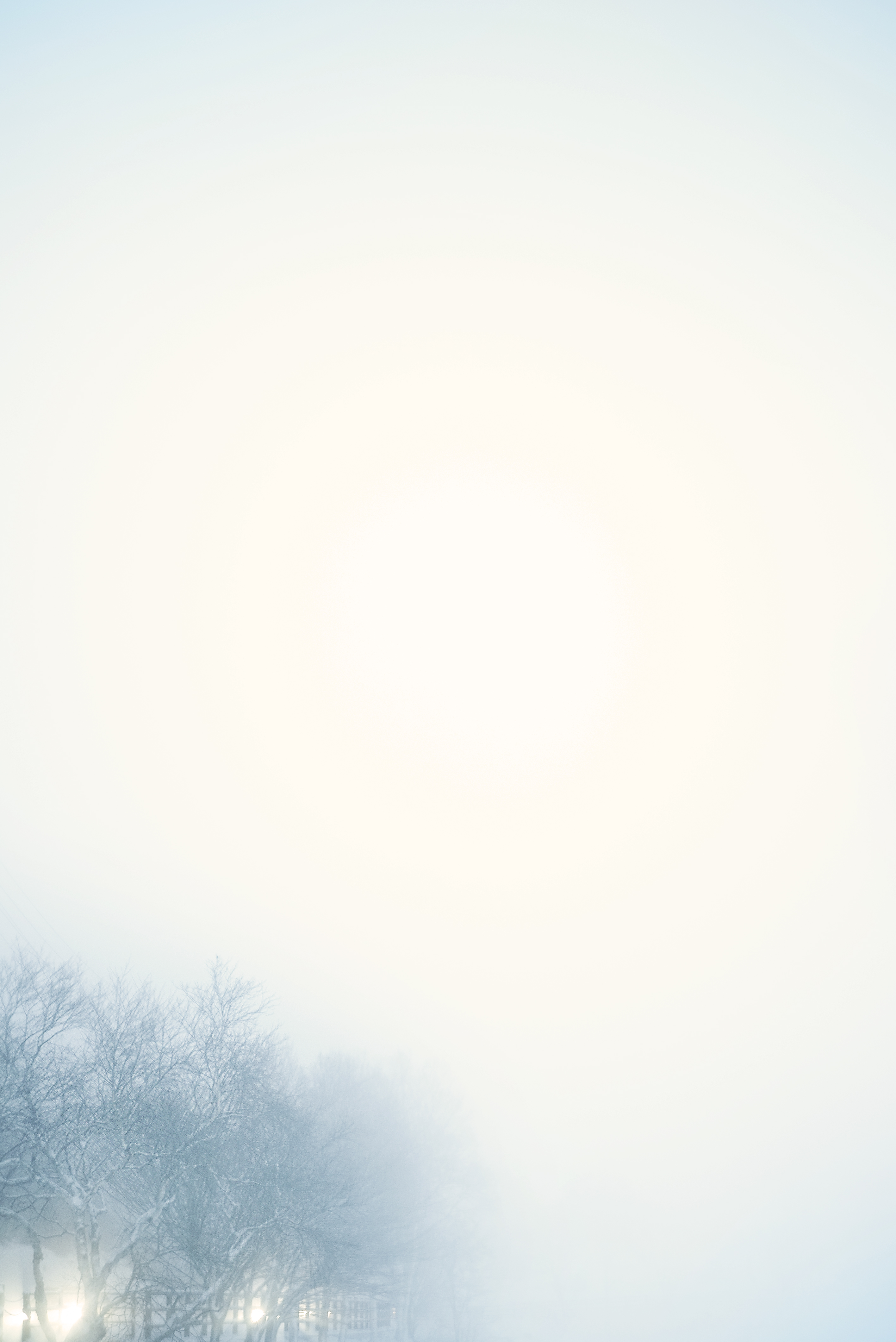 Comfort Zone 制作実績