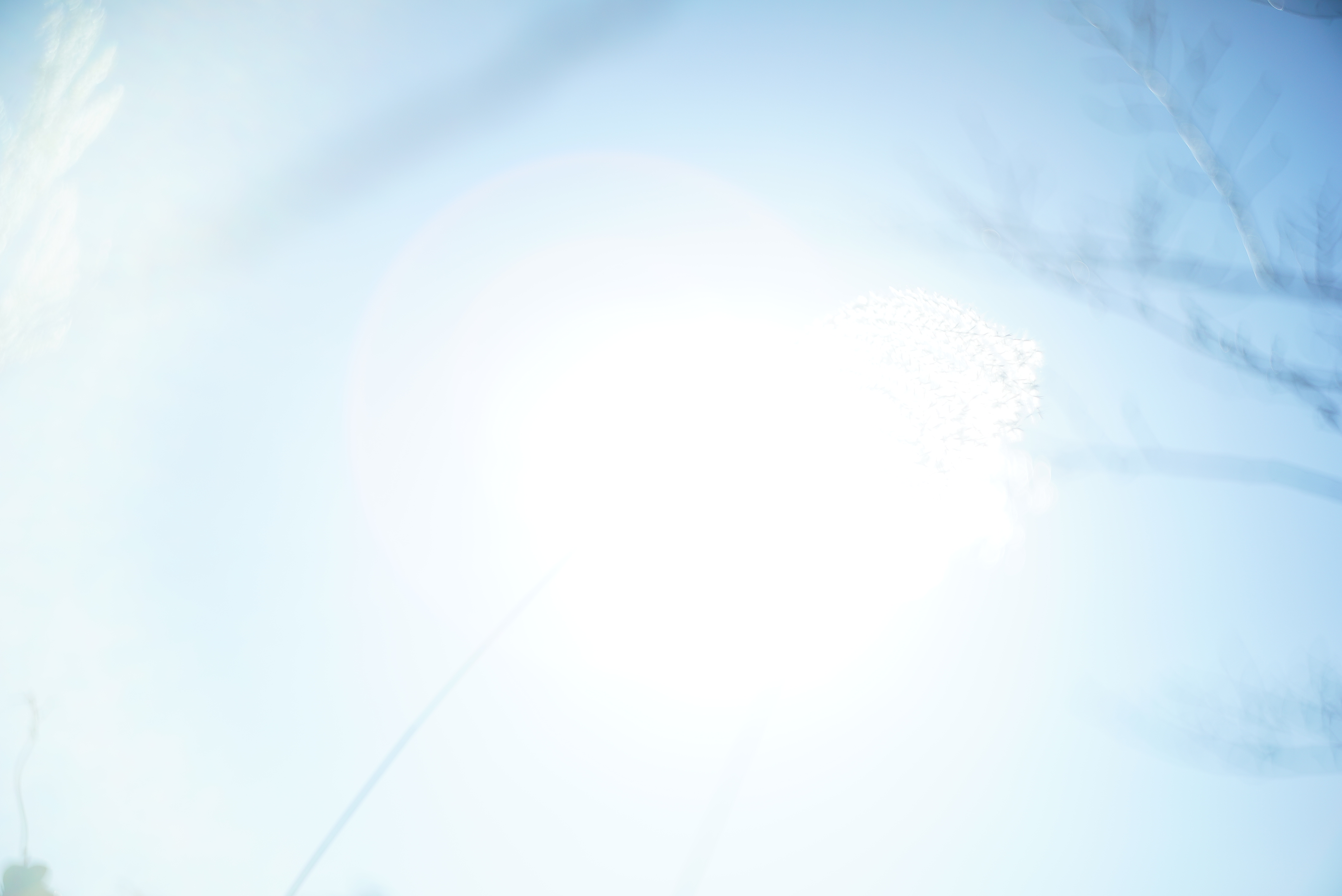 Comfort Zone 制作実績